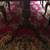 DINNING ROOM COMPLETE/AUTHENTIC SOLID WOOD CHERRY/PAD/CHINA BUFFET SERVER/6 CHAI 17 thumbnail