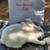 New Zealand Rabbits 2 thumbnail