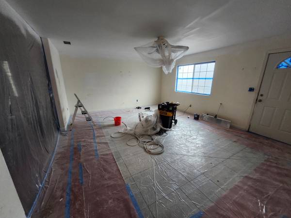 Painter / handyman 1