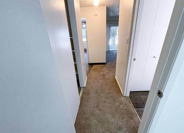 $1,215 / 1br - FREE MO. & SAVE $500 MORE! On-Site Laundry, Proximity to Freeway&Shops (Wilkes-East)63956354125698123
