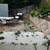 Room for rent, Private bathroom and private entrance. $1400.00 6 thumbnail