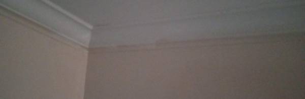 Ambrose & Nick Don't Use them!! (Wappingers Falls)64306349270787122