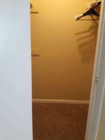$650 / 2br - 160ft2 - BIG ROOM FOR RENT ($650 all included) (Gorman Street and Conifer Drive, Raleigh)63968071737475121