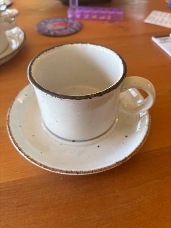 Partial China Set - Midwinter Creation pattern - household