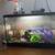 Small fish tank 1 thumbnail