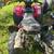 Honda Foreman 500 for parts newer tires atv tires itp 4 thumbnail