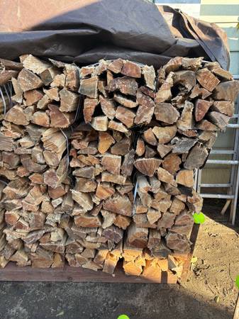 Pine firewood bundles 1