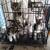 12 week old kittens 5 thumbnail