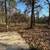 3 Acres For Sale! 8 thumbnail