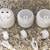 Google Nest Wi-Fi Mesh Router H2D and 2 Points H2E 2 thumbnail