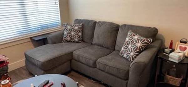 Couch- Ashley Brise Sofa chase- With pullout Bed 1