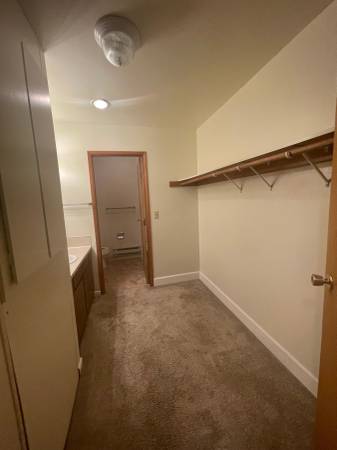 $1,095 / 525ft2 - Central Park- Lindo Estudio #2  - ¡Mitad de precio el primer mes de alquiler! (Vancouver)63831466542721124
