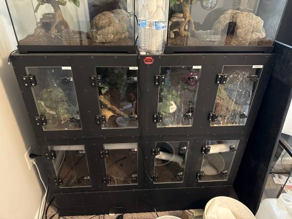 Pvc reptile rack 1