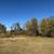 OPEN HOUSE! Spacious 4-Level Home in Montrose w/Fenced Backyard 21 thumbnail