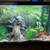 Aquarium complete 1 thumbnail