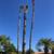 🌳🌲🌴Tree trimming LICENSED Tree removal  Palm Trimming 10% discount 7 thumbnail