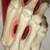 3 10" SKELETON HAND FLUTE GLASSES 3 thumbnail