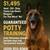 🐾 17-Day Dog Training – Potty Training GUARANTEED in Harrisburg, PA! 1 thumbnail