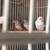 Finches 7 thumbnail