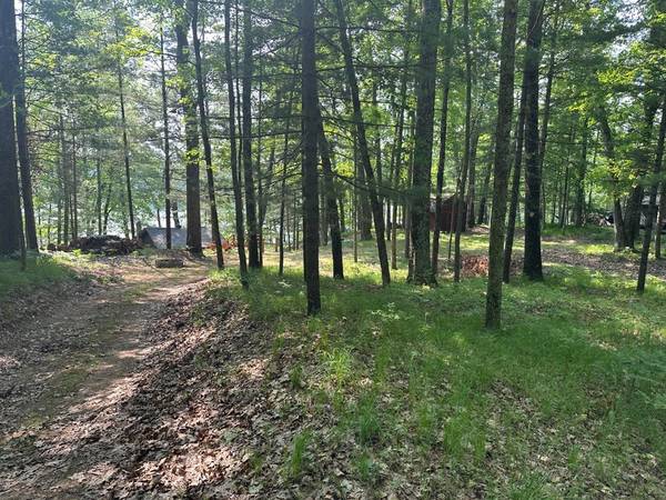 $174,900 / 900ft2 - Adorable cottage in Northern MI!! (Baldwin)64037896202242123