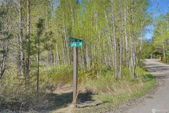 $249,000 17265 Lake Julis Road (Leavenworth)63821736355201122