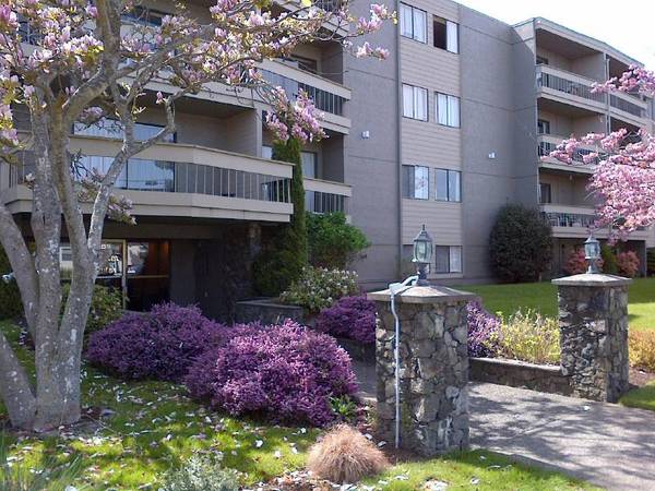 Oak Bay 1 bedroom apartment rent includes heat, hydro, hot water! 1