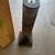 Presto Quartz Heater (model 07871, in original box) 3 thumbnail