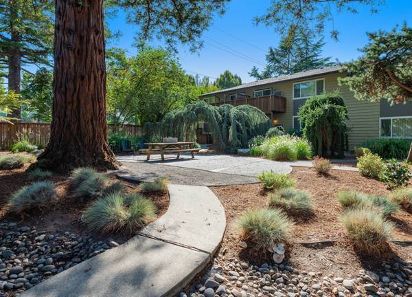 $1,545 / 2br - $500 SAVINGS + Restaurants on Southwest Hall Blvd | BBQ/Picnic Area (Beaverton)63999452514946121