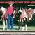 2 yo Paint Colt / Horse 10 thumbnail