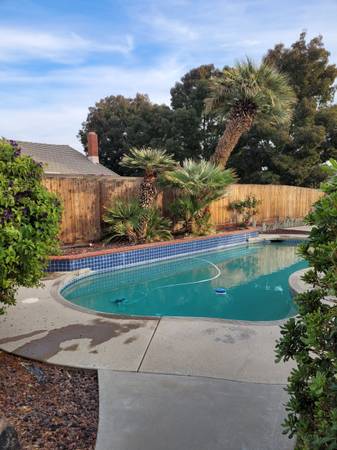 $2,375 / 3br - 1679ft2 - Attn: Military Members: Nice 3 / 2  Pine Castle N. Hanford, Swim Pool. (Hanford)63777362506497121