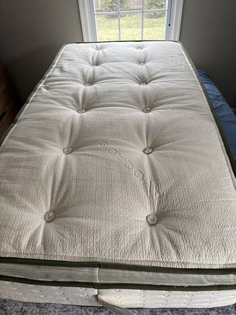 Organic Mattress 1