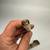 Rare Large 1800s Shagreen Mongolian Chinese Tibetan Traveling TROUSSE 21 thumbnail