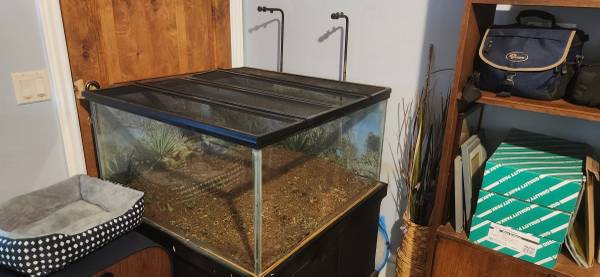 Reptile Tank 1