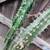 LARGE CACTUS PLANT  has thorns 7 thumbnail