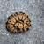 Orange dream ball python 5 thumbnail