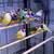 Gouldian finch male 1 thumbnail