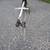 Radio Control Helicopter. 5 thumbnail