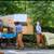 Staten Island Clean-Outs & Junk Removal – Fast, Affordable, Reliable 4 thumbnail