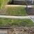 LEAF CLEAN UPS & GUTTERS 6 thumbnail