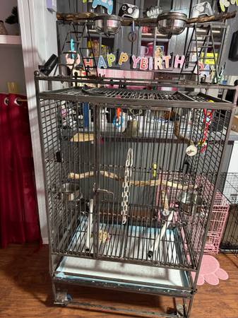 Bird cage 1