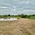 TBD FM 1696 ~ Land for Sale in Iola, TX 9 thumbnail