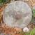 Yard Art - Primitive Stone Grinding Wheel 1 thumbnail