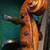 Violin  1/2 size 4 thumbnail