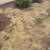 Decomposed Granite (DG) dug up and ready for free 3 thumbnail