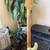 Fender Precision Bass 3 thumbnail