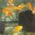 Koi fish big size great price 1 thumbnail