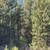 #29 Crescent Moon Drive ~ 1.15 Acres   >>> Diamond Meadows<<< 10 thumbnail