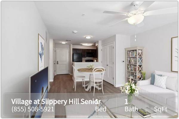 $585 / 1br - Feel at home your first night! Fall in love with your 1 BR / 1 BA! (Queenstown - Terrapin Nature Park)63806890413825121