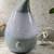 Various Essential Oil Diffusers Electric Aromatherapy Humidifier 4 thumbnail