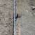 Sprinklers and drip systems 9 thumbnail
